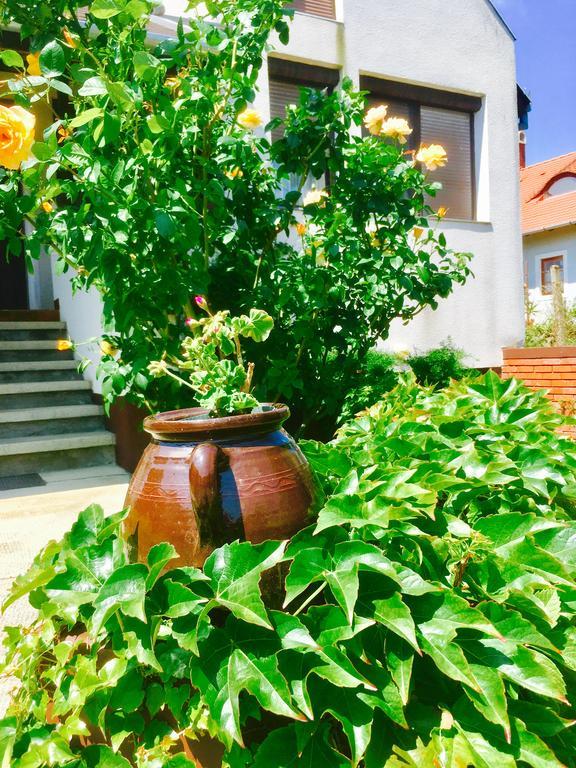 Rozsahegyi No.5 Apartment Szigliget Ngoại thất bức ảnh